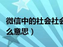 微信中的社会社会是什么意思（社会社会是什么意思）