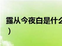 露从今夜白是什么诗句（露从今夜白是什么诗）