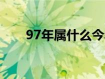 97年属什么今年多大（97年属什么）