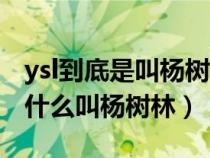 ysl到底是叫杨树林还是圣罗兰（ysl圣罗兰为什么叫杨树林）