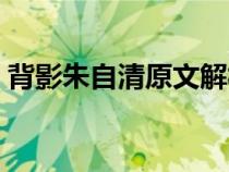 背影朱自清原文解析（背影朱自清原文赏析）