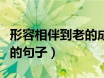 形容相伴到老的成语（形容相伴到老不离不弃的句子）