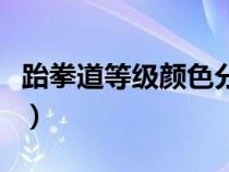 跆拳道等级颜色分为哪几种（跆拳道等级颜色）