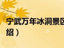 宁武万年冰洞景区电话号码（宁武万年冰洞介绍）