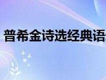 普希金诗选经典语录（普希金诗集名句摘抄）