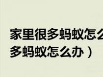 家里很多蚂蚁怎么办是因为什么原因（家里很多蚂蚁怎么办）