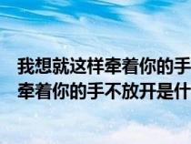 我想就这样牵着你的手不放开歌词是什么意思（我想就这样牵着你的手不放开是什么歌）