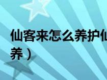 仙客来怎么养护仙客来怎么养活（仙客来怎么养）