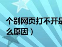 个别网页打不开是什么原因（网页打不开是什么原因）