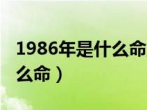 1986年是什么命五行属什么命（1986年是什么命）