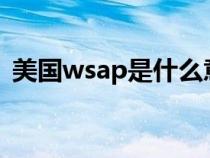 美国wsap是什么意思（美国wap什么意思）