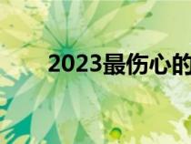 2023最伤心的网名（最伤心的网名）