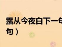 露从今夜白下一句话是什么（露从今夜白下一句）