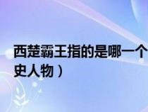 西楚霸王指的是哪一个历史人物（西楚霸王指的是哪一位历史人物）