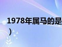 1978年属马的是什么命（1978年属什么生肖）