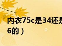 内衣75c是34还是36（内衣75a是34的还是36的）