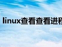 linux查看查看进程（linux查看进程的方法）