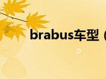 brabus车型（brabus什么牌的车）