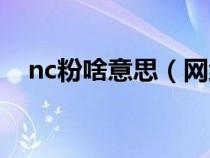 nc粉啥意思（网络用语nc粉是什么意思）