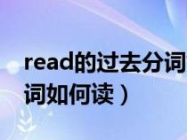 read的过去分词如何读出来（read的过去分词如何读）