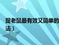 捉老鼠最有效又简单的方法视频（捉老鼠最有效又简单的方法）