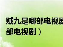 贼九是哪部电视剧二炮手剧情简介（贼九是哪部电视剧）