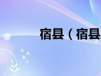 宿县（宿县属于哪个省哪个市）