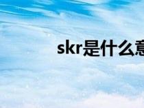 skr是什么意思（skr是什么梗）