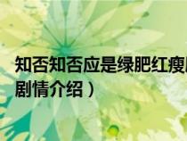 知否知否应是绿肥红瘦剧情介绍70（知否知否应是绿肥红瘦剧情介绍）