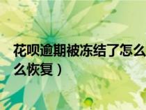 花呗逾期被冻结了怎么能快速恢复正常（花呗逾期被冻结怎么恢复）