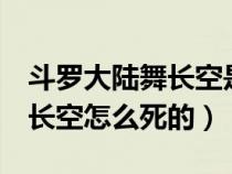 斗罗大陆舞长空是从哪里来的（斗罗大陆3舞长空怎么死的）