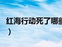 红海行动死了哪些人（红海行动真实死人了吗）