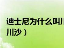 迪士尼为什么叫川沙七宝呢（迪士尼为什么叫川沙）