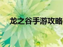 龙之谷手游攻略心得（龙之谷手游攻略）