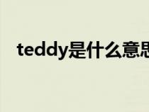 teddy是什么意思（英语teddy什么意思）