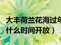 大丰荷兰花海过年门票多少钱（大丰荷兰花海什么时间开放）