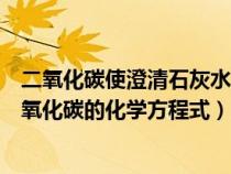 二氧化碳使澄清石灰水变浑浊的化学方程式（实验室制取二氧化碳的化学方程式）