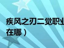 疾风之刃二觉职业有哪些（疾风之刃二觉任务在哪）