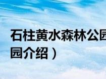 石柱黄水森林公园门票价格（石柱黄水森林公园介绍）