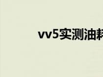 vv5实测油耗（vv5油耗是多少）