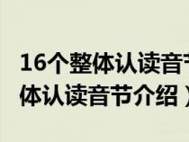 16个整体认读音节介绍_酷知经验网（16个整体认读音节介绍）