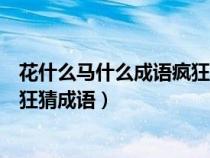 花什么马什么成语疯狂猜成语四个字（花什么马什么成语疯狂猜成语）