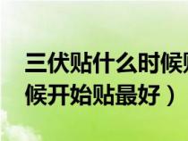 三伏贴什么时候贴最好2020（三伏贴什么时候开始贴最好）