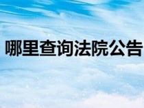 哪里查询法院公告（如何查询人民法院公告）