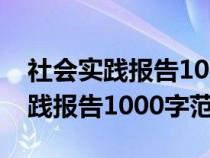 社会实践报告1000字范文打扫卫生（社会实践报告1000字范文）