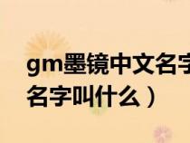 gm墨镜中文名字叫什么好听（gm墨镜中文名字叫什么）