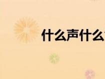 什么声什么气（什么头什么气）