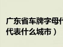 广东省车牌字母代表地区（广东省车牌号字母代表什么城市）