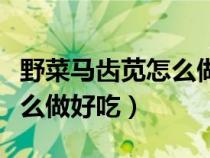 野菜马齿苋怎么做好吃又简单（野菜马齿苋怎么做好吃）