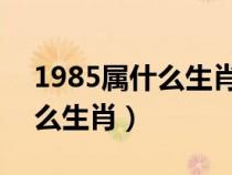 1985属什么生肖 今年多大了（1984年属什么生肖）